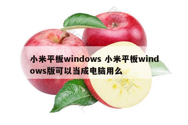 小米平板windows 小米平板windows版可以当成电脑用么