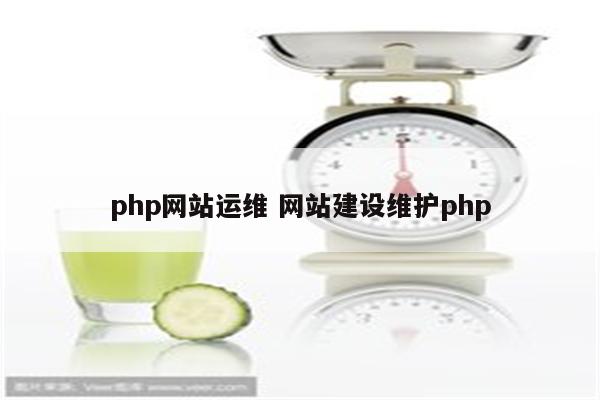 php网站运维 网站建设维护php