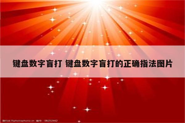 键盘数字盲打 键盘数字盲打的正确指法图片