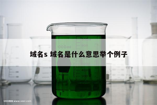域名s 域名是什么意思举个例子
