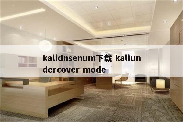 kalidnsenum下载 kaliundercover mode