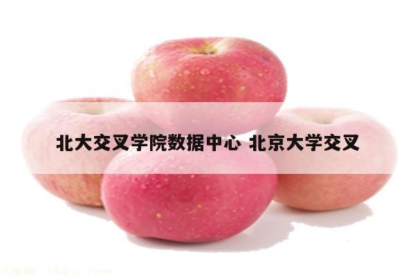 北大交叉学院数据中心 北京大学交叉