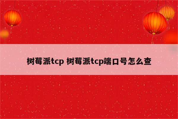 树莓派tcp 树莓派tcp端口号怎么查