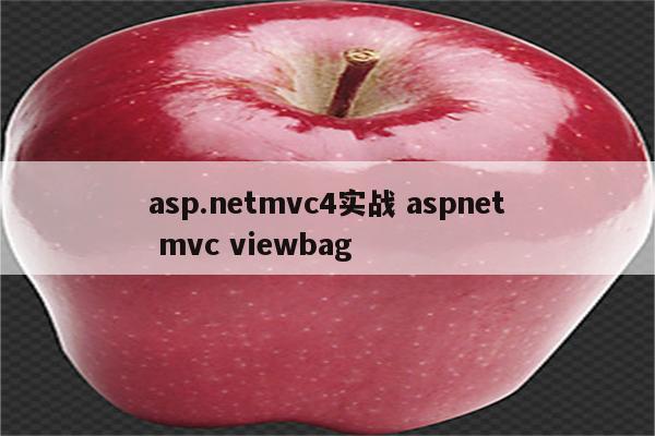 asp.netmvc4实战 aspnet mvc viewbag