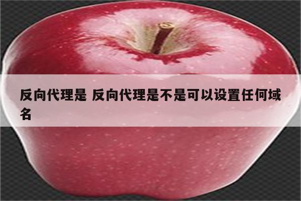 反向代理是 反向代理是不是可以设置任何域名