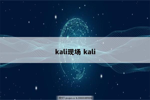 kali现场 kali