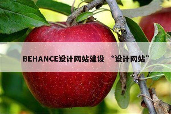 BEHANCE设计网站建设 “设计网站”