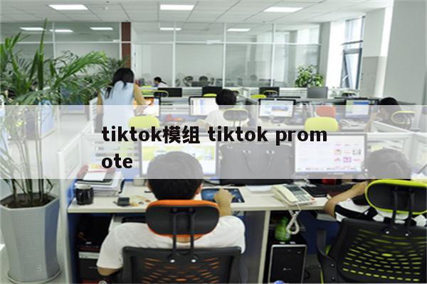 tiktok模组 tiktok promote