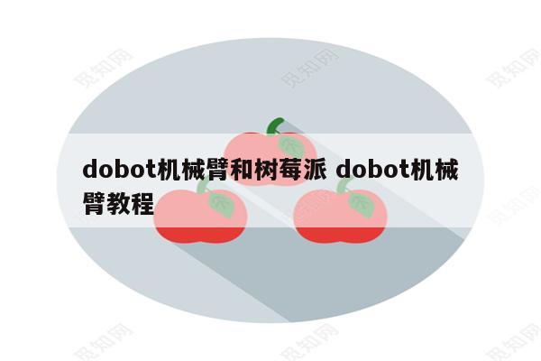 dobot机械臂和树莓派 dobot机械臂教程