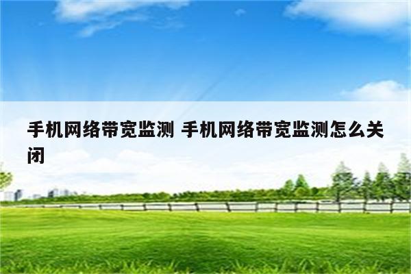 详细阅读:手机网络带宽监测 手机网络带宽监测怎么关闭 手机网络带宽监测 手机网络带宽监测怎么关闭