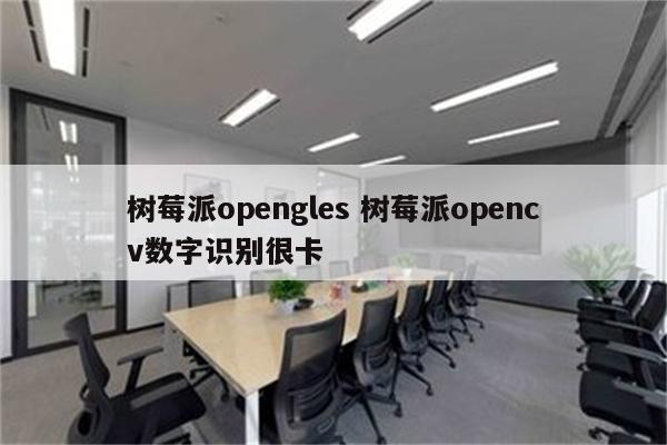 树莓派opengles 树莓派opencv数字识别很卡