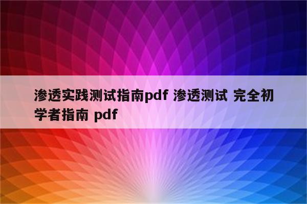 渗透实践测试指南pdf 渗透测试 完全初学者指南 pdf