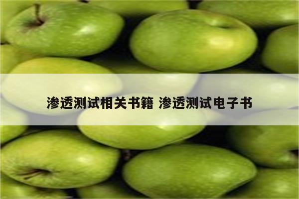 渗透测试相关书籍 渗透测试电子书