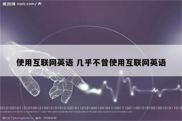 使用互联网英语 几乎不曾使用互联网英语