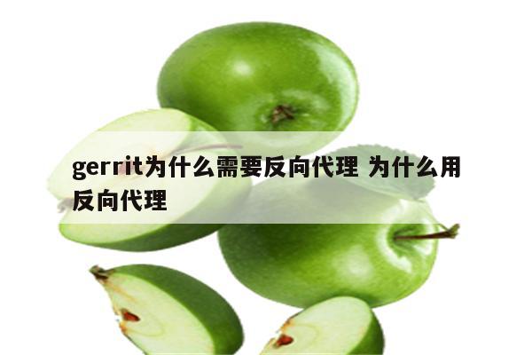 gerrit为什么需要反向代理 为什么用反向代理
