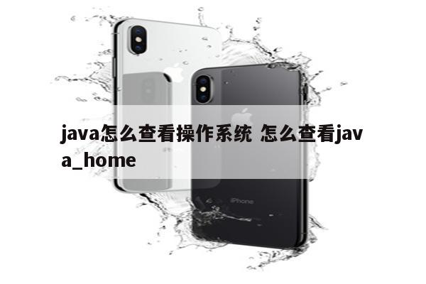 java怎么查看操作系统 怎么查看java_home