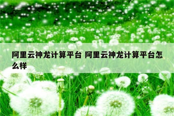 阿里云神龙计算平台 阿里云神龙计算平台怎么样
