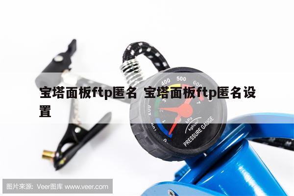 宝塔面板ftp匿名 宝塔面板ftp匿名设置