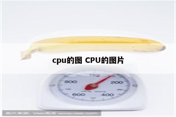 cpu的图 CPU的图片