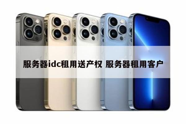 服务器idc租用送产权 服务器租用客户
