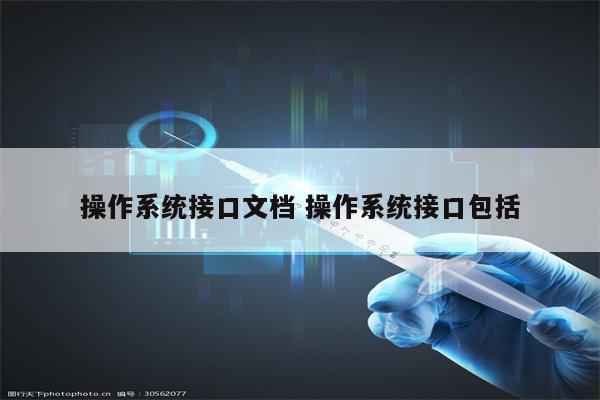操作系统接口文档 操作系统接口包括
