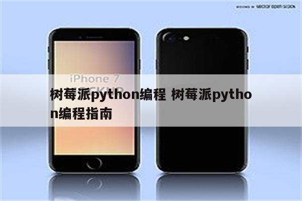 树莓派python编程 树莓派python编程指南