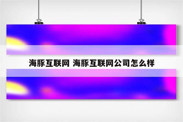 海豚互联网 海豚互联网公司怎么样