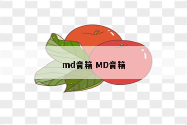 md音箱 MD音箱