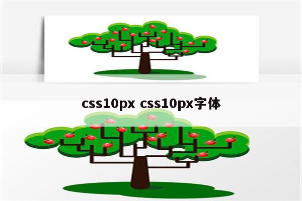 css10px css10px字体