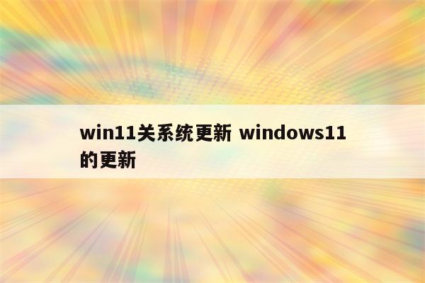 win11关系统更新 windows11的更新