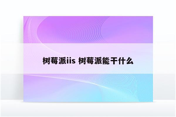 树莓派iis 树莓派能干什么