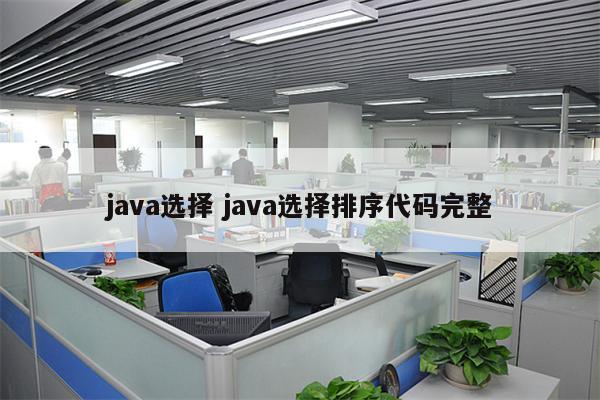 java选择 java选择排序代码完整