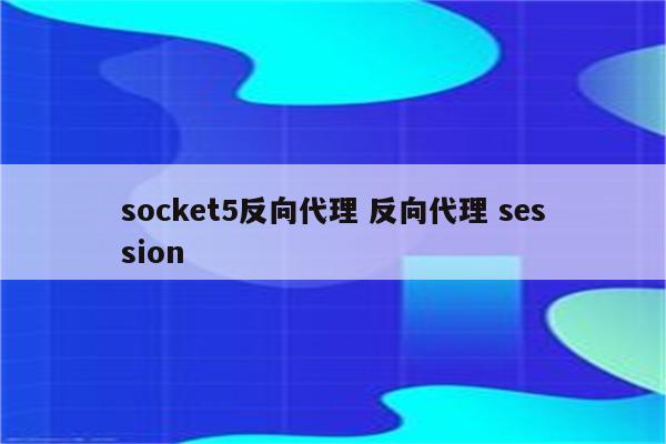 socket5反向代理 反向代理 session