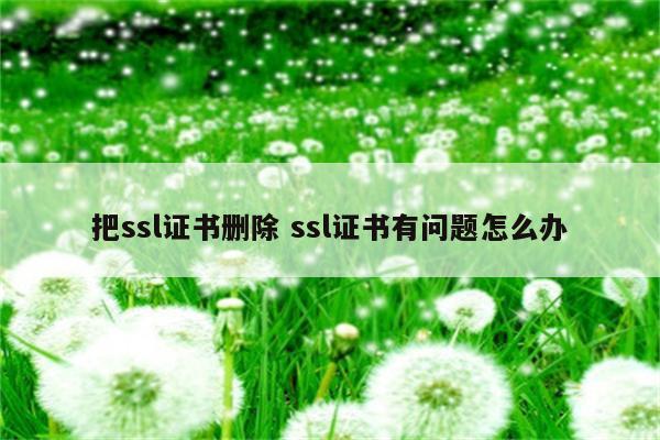 把ssl证书删除 ssl证书有问题怎么办