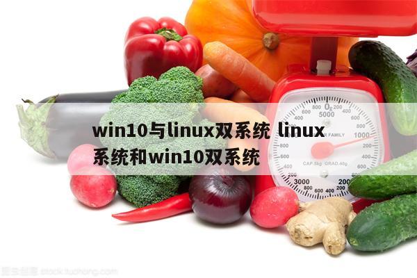 win10与linux双系统 linux系统和win10双系统