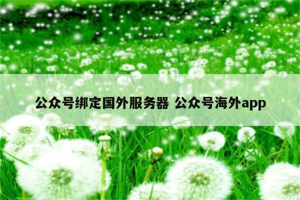 公众号绑定国外服务器 公众号海外app