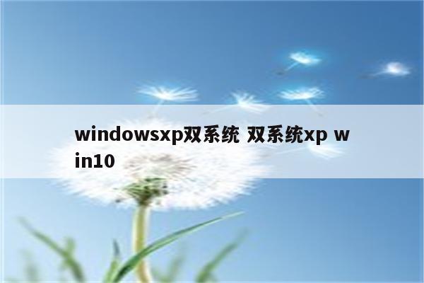 windowsxp双系统 双系统xp win10