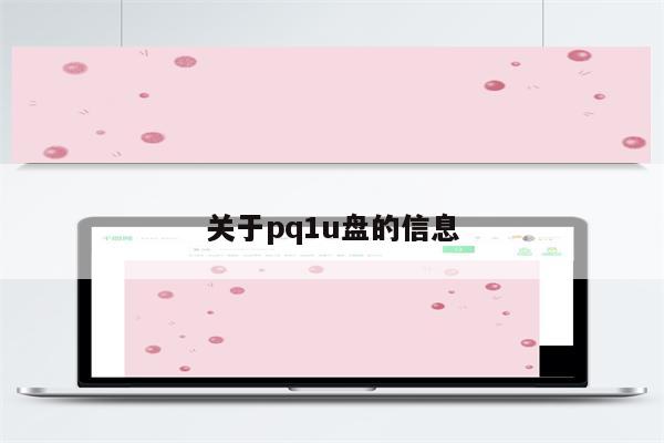 关于pq1u盘的信息