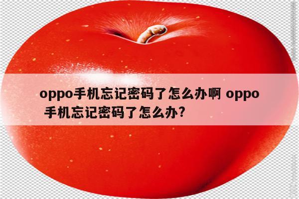oppo手机忘记密码了怎么办啊 oppo 手机忘记密码了怎么办?