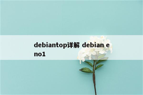 debiantop详解 debian eno1