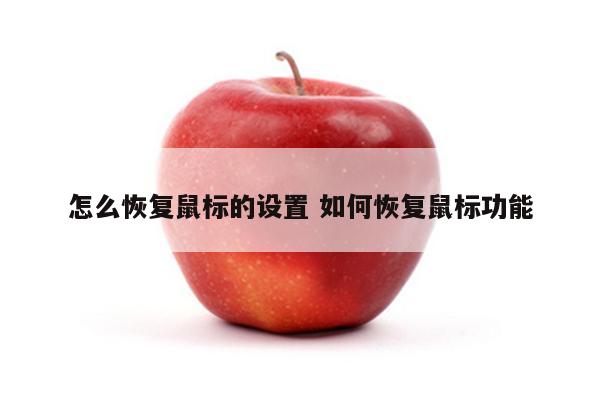 怎么恢复鼠标的设置 如何恢复鼠标功能