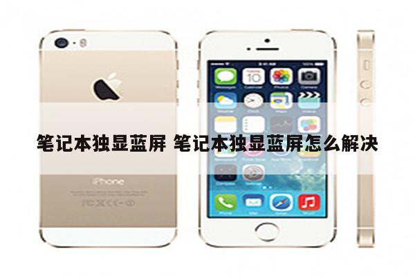 笔记本独显蓝屏 笔记本独显蓝屏怎么解决