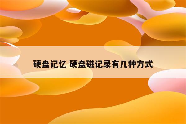 硬盘记忆 硬盘磁记录有几种方式