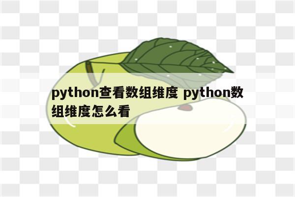 python查看数组维度 python数组维度怎么看