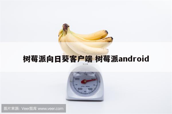 树莓派向日葵客户端 树莓派android