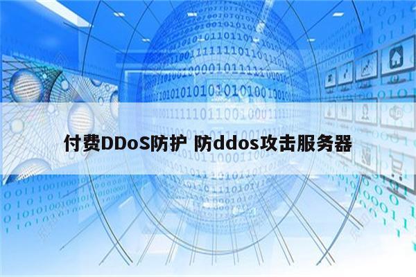 付费DDoS防护 防ddos攻击服务器