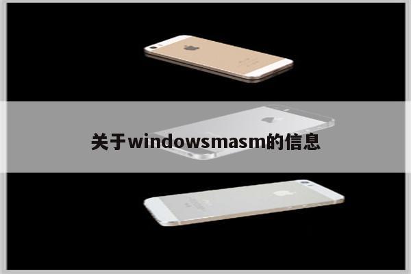 关于windowsmasm的信息