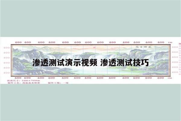 渗透测试演示视频 渗透测试技巧