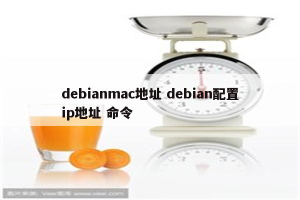 debianmac地址 debian配置ip地址 命令