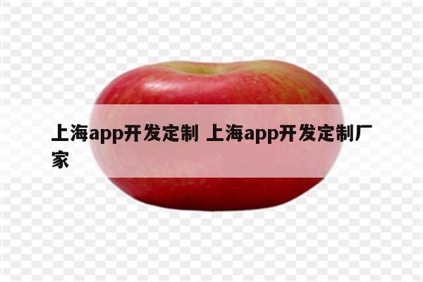 上海app开发定制 上海app开发定制厂家